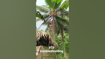 troubleshooting of p2p internet connection.