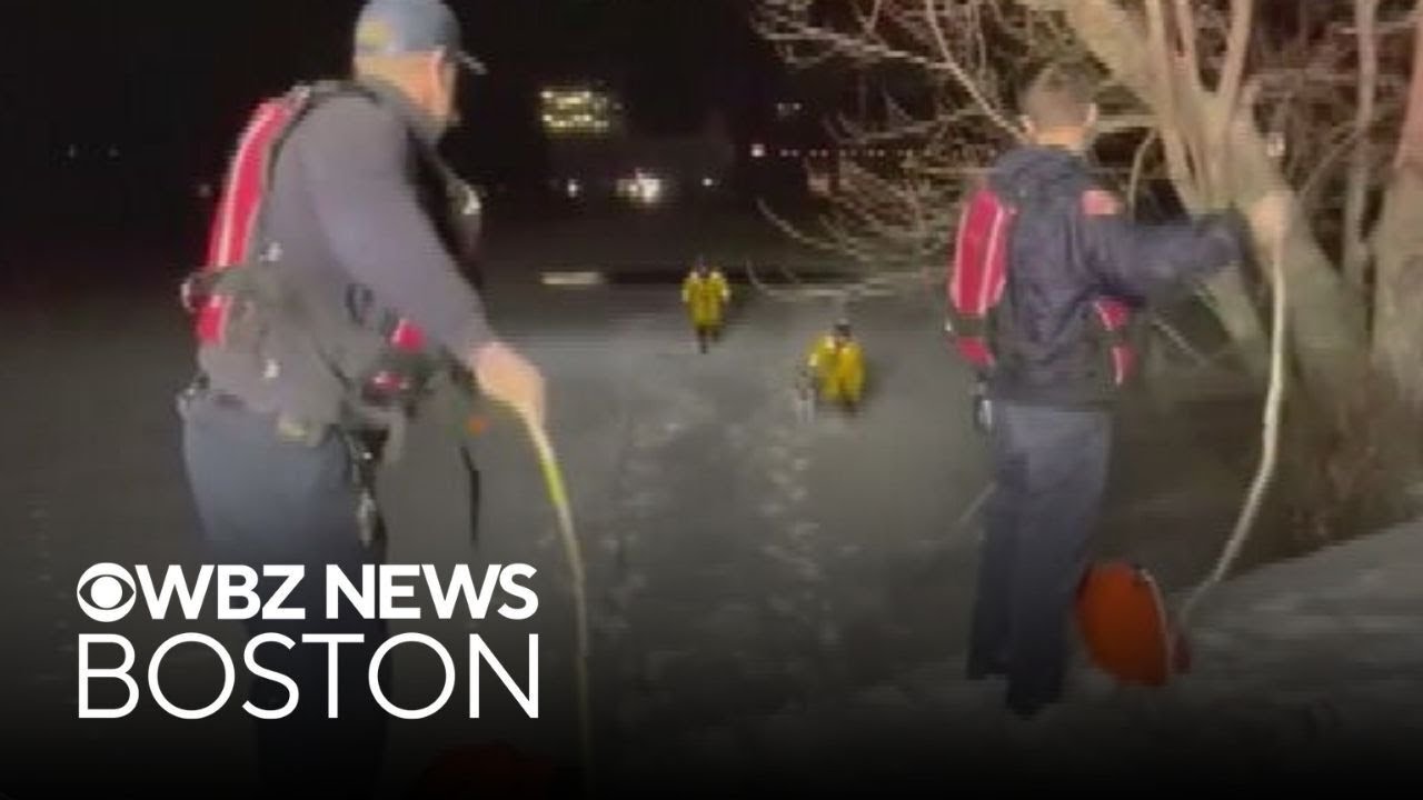 Firefighters rush to save Massachusetts dog from icy pond
