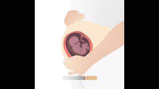 World No Tobacco day | Animated Infographic Video