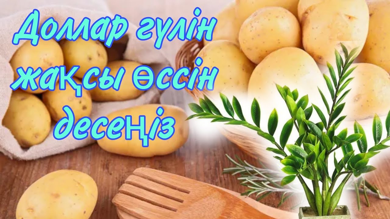 Порно фильмнен алынған порно Нина Хартли порно ішіндегі сперму