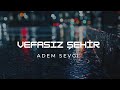 Adem Sevgi - Vefasız Şehir