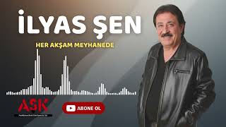 İlyas Şen - Her Akşam Meyhanede #aşkprodüksiyontürkü #visualizer #müzik #arabesk
