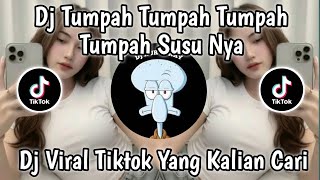 Download lagu DJ TUMPAH TUMPAH SUSUNYA || DJ VIRAL TIKTOK YANG KALIAN CARI