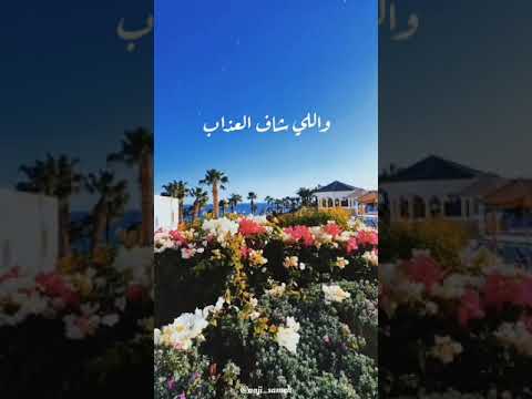 ساعات حلاوة الدنيا شيرين