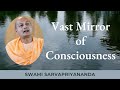 Vast mirror of consciousness  swami sarvapriyananda