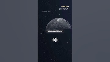 راحة نفسية ♥🌿 #قرآن #تلاوات #سورة_الشعراء #راحة_نفسية #quran