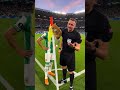 Cat climbs the flag 😂