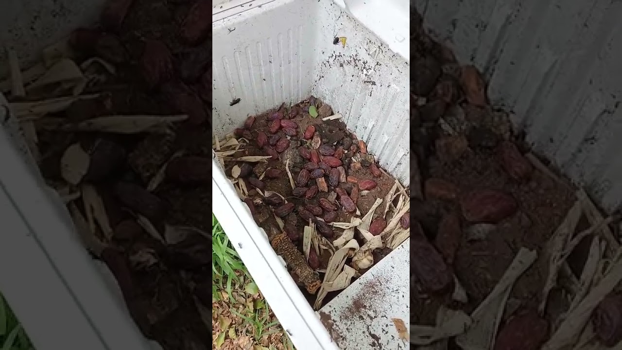 keep Worm Farm alive from summer heat - best worm farm for hot climate insulated from the sun