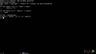 Famous 028 using function annotations Profile