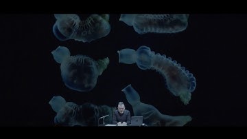 After Alignment: Orienting Synthetic Intelligence Beyond Human Reflection