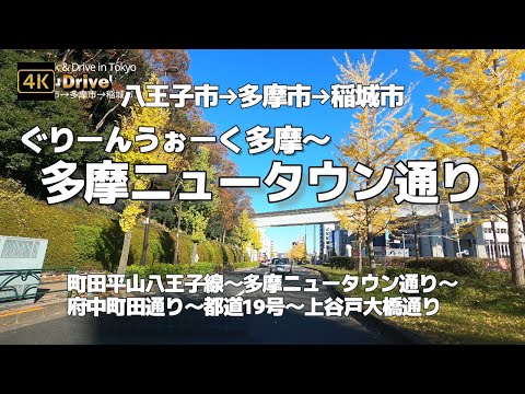 【ドライブ4K】【ぐりーんうぉーく多摩→多摩ニュータウン通り~秋晴れ紅葉ドライブ「八王子市→多摩市→稲城市」】【町田平山八王子線~多摩ニュータウン通り~府中町田通り~都道19号~上谷戸大橋通り】