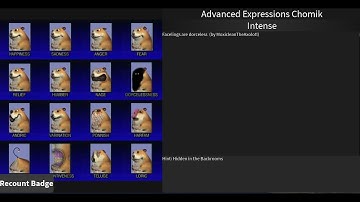How to get Advanced Expressions Chomik - Find The Chomiks