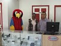 Middle of video