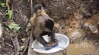 Vsya Pravda O Semeynoy Jizni