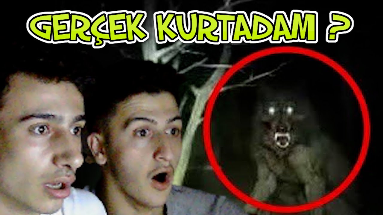 KAMERALARA YAKALANMIŞ 10 KURTADAM !