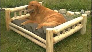 Pictures Of Dog Beds For Large Dogs | Dog Beds For Large Dogs Dogs