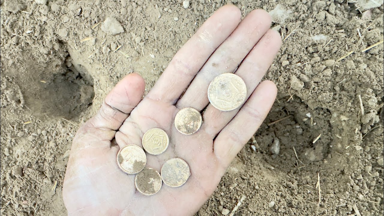 Treasure Hunting with Metal Detector 😱 Found 6 Rare Ancient Coins | Hidden 