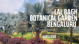 Lalbagh Botanical Garden A Perfect Weekend Getaway In Bengaluru