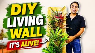 DIY Bromeliad Wall Frame | Living Wall Art You Can Hang Anywhere #verticalgardening #bromeliads