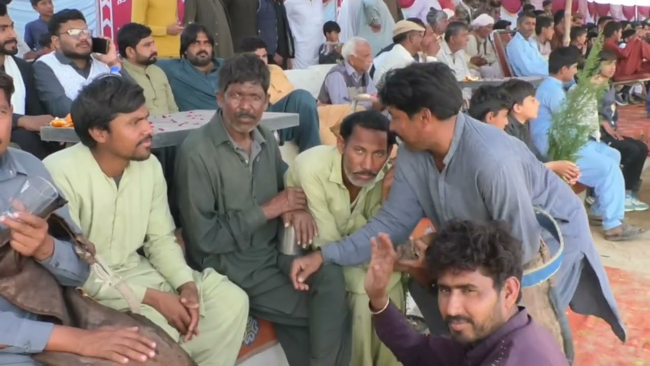 Horse Dancing Program at Rati Tebi #horsetrack #horse #equestrianjourney #duet #sansansehorhorse 