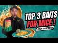 What Is The Best Mouse Trap Bait To Use?