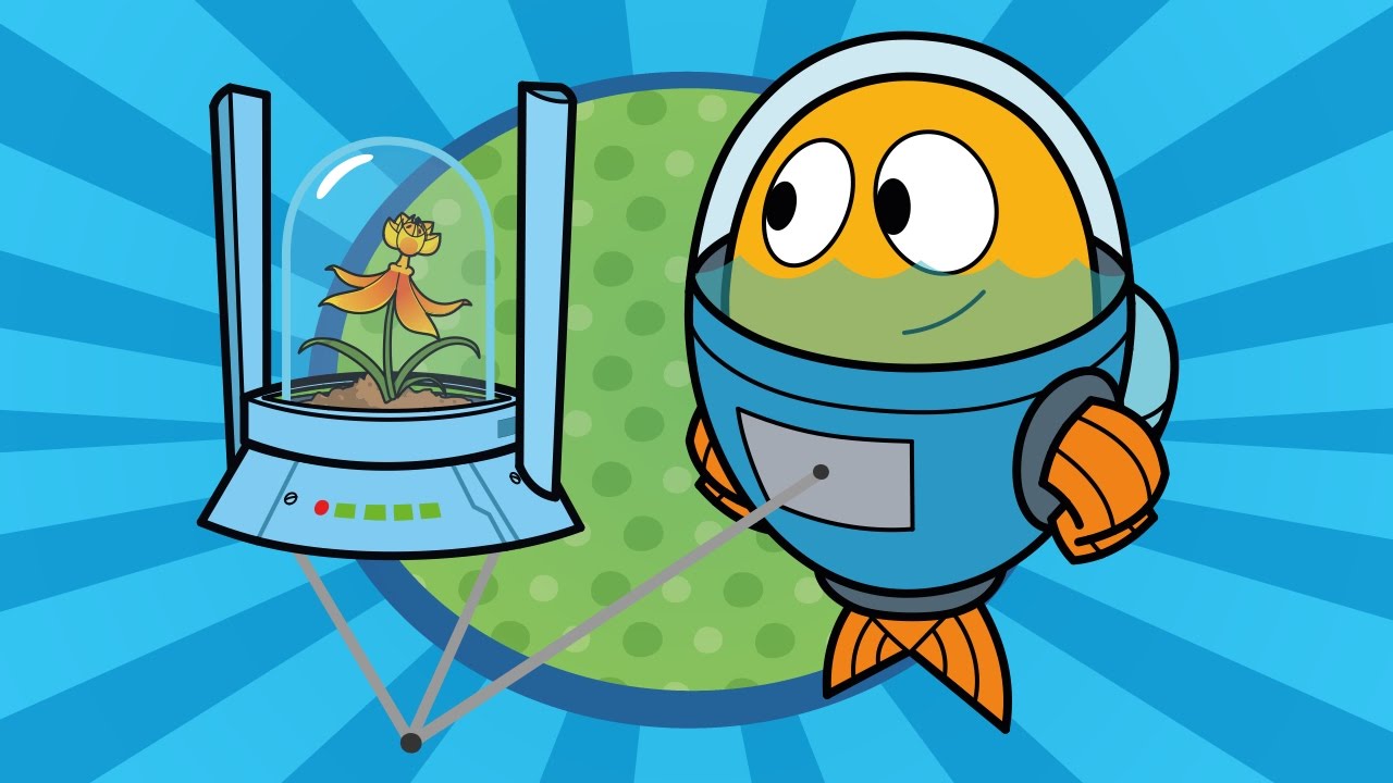 Peixonauta, O Caso da Árvore que Voa