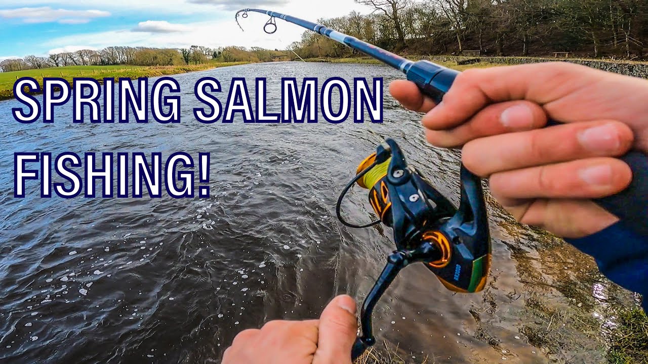 SPRING SALMON Fishing On The River Annan, Scotland! 🏴󠁧󠁢󠁳󠁣󠁴󠁿🐟 (4K) YouTube