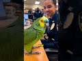 Parrot Roasts: Trust me? Then clear your contact list 😂🦜