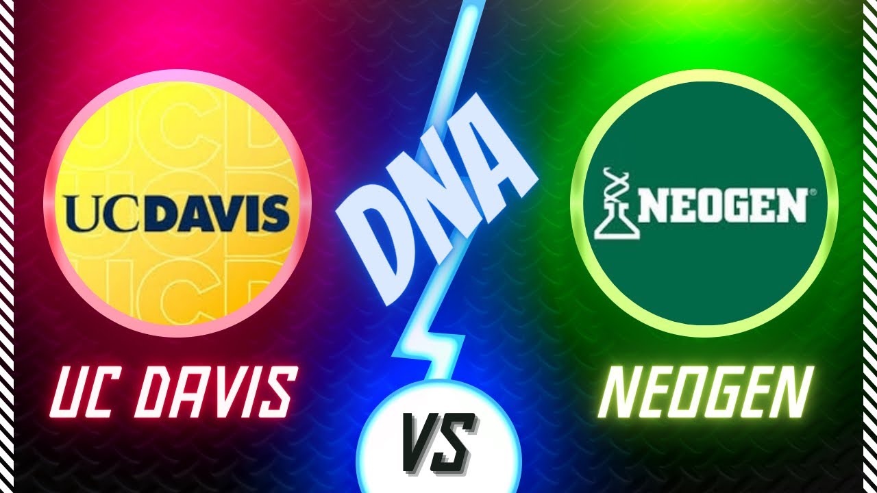 Boer Goats DNA Testing Neogen Or UC Davis