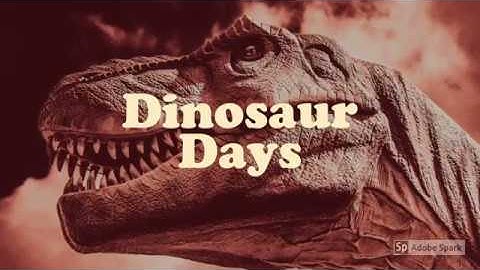 Adobe Spark Video Book Trailer Sample