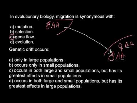 Evolutionary biology, migration and genetic drift