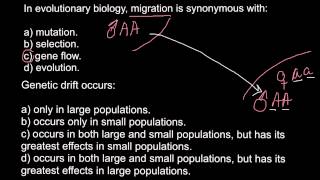 Evolutionary biology, migration and genetic drift