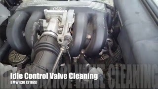BMW 318iS E30 ICV Cleaning