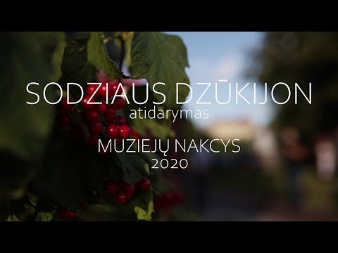 Video: Praleisk Naktį Muziejuje