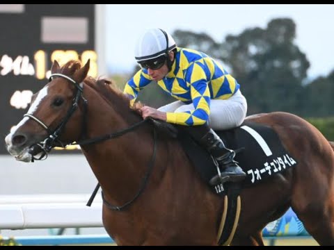 レア　かみのやま競馬マッチ　2つ レア かみのやま競馬マッチ 2つ