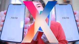 DownloadX MP3 MP4 X