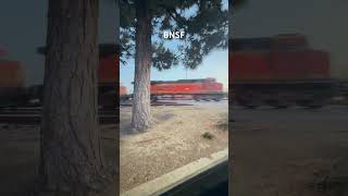 BNSF going through Santa Fe Springs #fun #train #railsimuniverse #railfan #roblox #railroad #fypシ