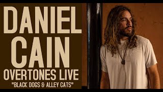 Overtones Live Daniel Cain Black Dogs And Alley Cats On Overtones Live
