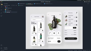 🛒 E-Commerce Hybrid App Development Training Part 2 – Project Setup & Folder Structure 🏗️📂