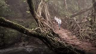 How to build a resilient future using ancient wisdom | Julia Watson