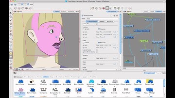 Week 2 of Rigging a Head in Animate Pro or Harmony -  Part3.mp4