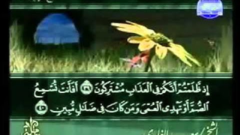 سورة الزخرف الشيخ سعد الغامدي