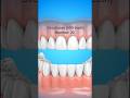 #anatomy of the Teeth 🤢🤢. Animation videos 📸📸