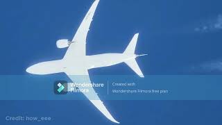 Pilot loses control over plane
