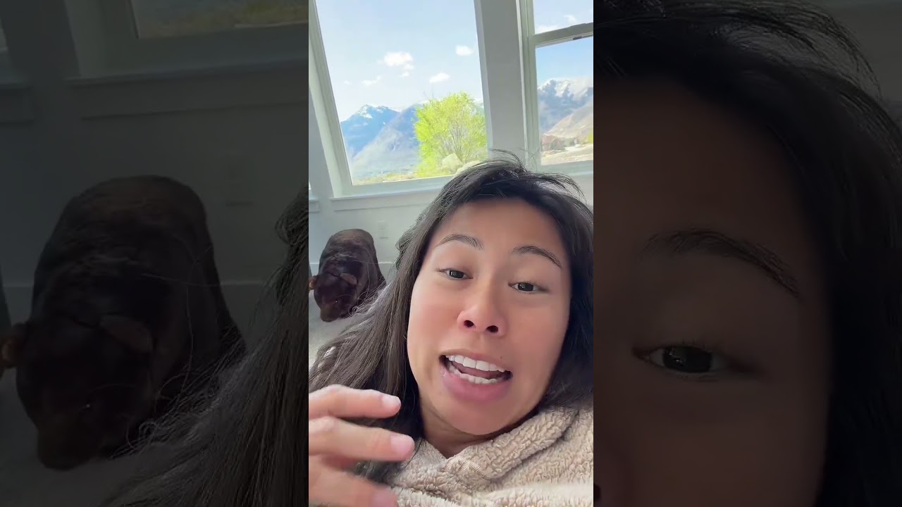 Anthropic leaked 500K lines of code... KAIROS never stops working