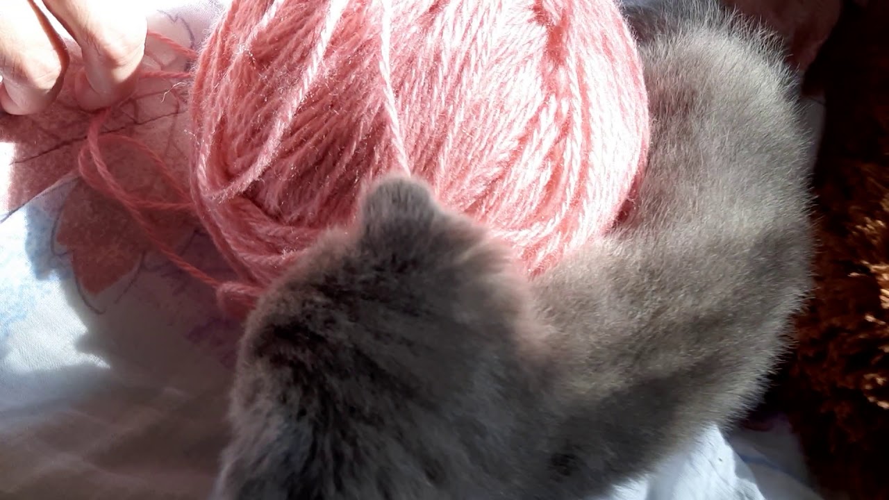 Котенок и клубок - YouTube