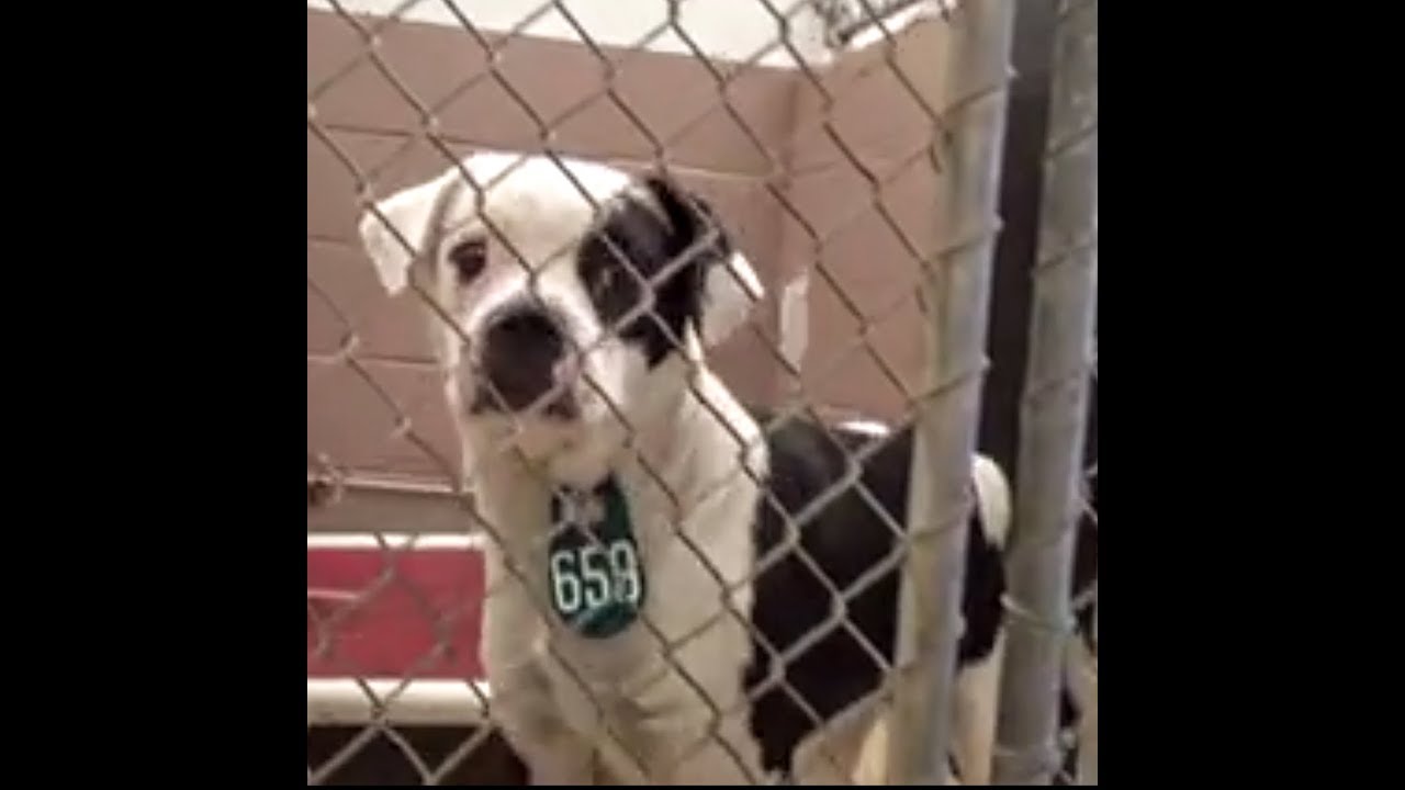 Who will save your soul