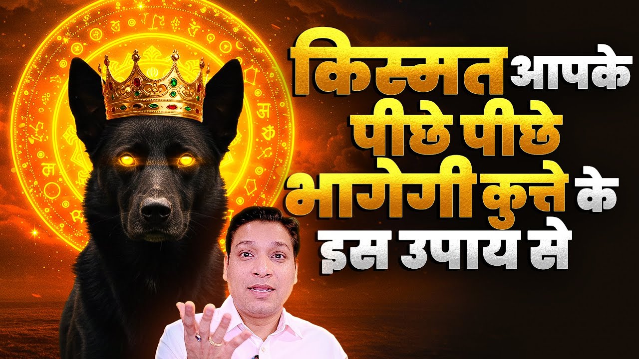 किसमत भागेगी आपके पीछे - कुत्ते के इस उपाय से | Dog Upay - Solutions of Many Problems