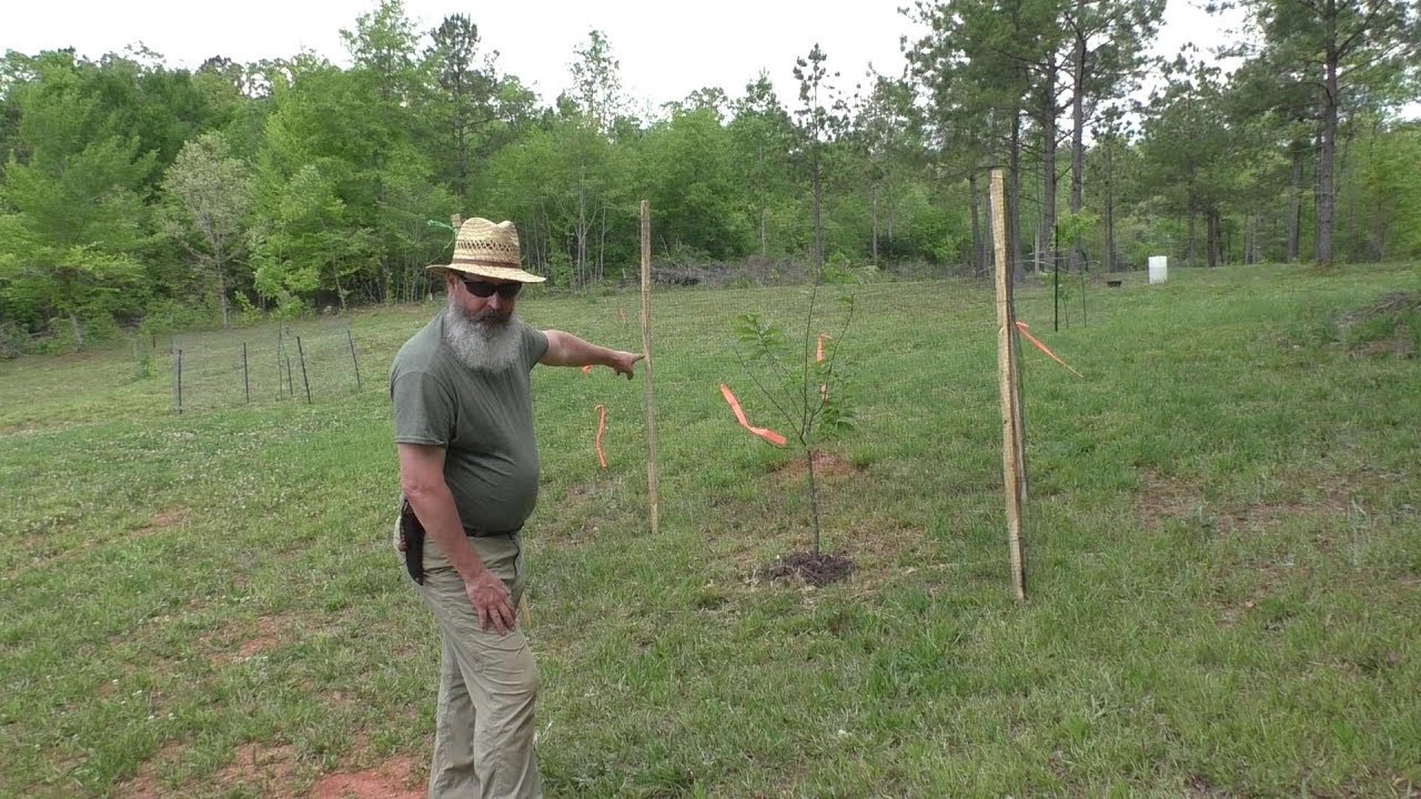 Making Fence Posts by Hand - YouTube