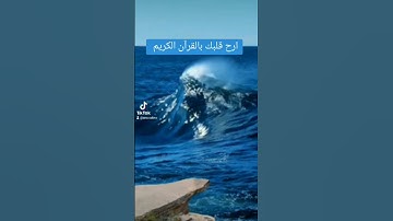 القرآن الكريم #المصحف #لايك #اكسبلور #تلاوات_رائعة